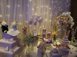 android_upload_pic-CHINCHIN LADY