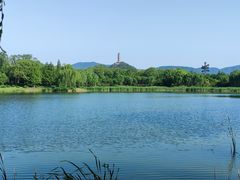 -北坞公园