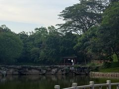 -榴花公园