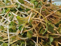 -外滩往事民国上海菜(黄浦店)