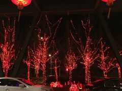 -常州环球恐龙城维景国际大酒店