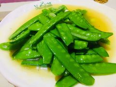 荷兰豆-语言大学-清真食堂