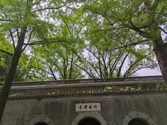 -镇江市南山风景名胜区竹林景区
