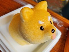 -柴犬高等学院·狗咖·柴犬售卖·宠物训练