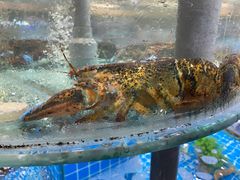 -抹直口特色菜馆(一店)