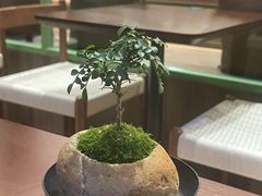 -小西家作(富力爱丁堡店)