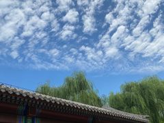 -北坞公园