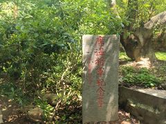 -雨花胜境