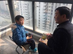 -新湖明珠城