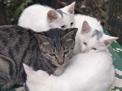 -狼山风景名胜区