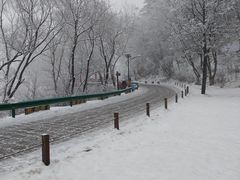 -秦岭终南山世界地质公园翠华山景区