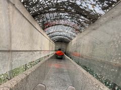 -秦岭终南山世界地质公园翠华山景区