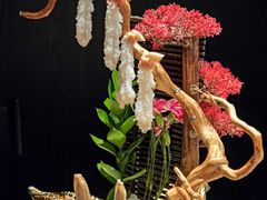 -蟹犇前•帝王蟹雪蟹(陆家嘴店)
