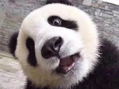 -无限虾享(同庆街店)