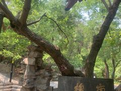 -千佛山风景名胜区