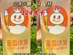 -西涌国际滨海旅游区