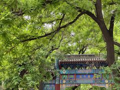 -北京国子监胡同