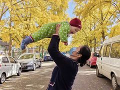 -三里屯东五街银杏大道
