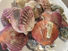 -兴芮温泉度假区