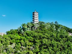 -深圳国际园林花卉博览园