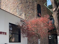 -J Create城市露营咖啡·简餐·宠物(上海动物园店)