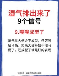 -Fundi张玉珊修身堂·indiba·BTL科技瘦身