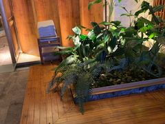 -浅深(北京北四环精品店)