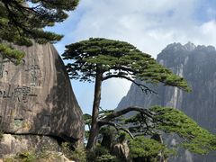 -辣伍鲜毛肚老火锅(元一店)