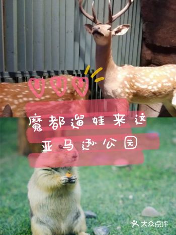 魔都春游打卡必来——亚马逊公园萌宠乐园
