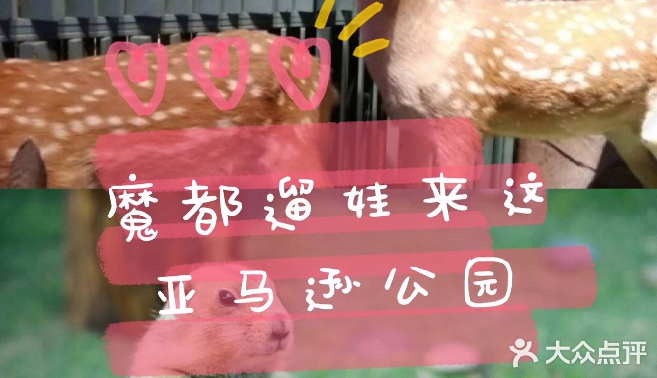 魔都春游打卡必来——亚马逊公园萌宠乐园