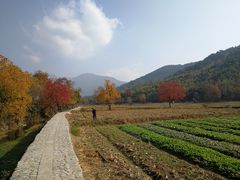 -塔川景区