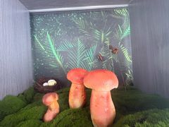 -七采菌园·野生菌石锅鱼(环城北路店)