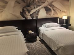 -国家会议中心大酒店