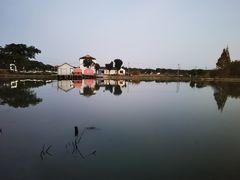 -水岸居湖景农家乐·阳澄湖大闸蟹