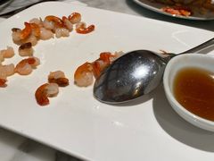 -蝶园·装修中(BFC外滩金融中心店)