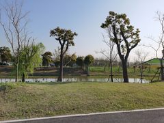 -上海滨江森林公园