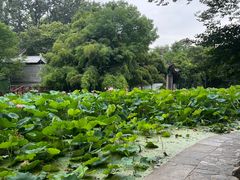 -莲湖公园