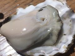 -蚝哥贝妹(玉林店)
