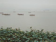 -湖畔居茶楼(湖滨店)
