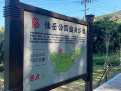 -仙岳公园