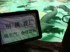 -重庆欢乐海底世界