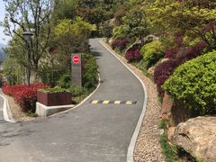 -杭州桐庐康莱德酒店西餐厅-舍