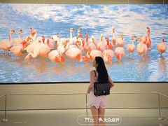 -罗红摄影艺术馆