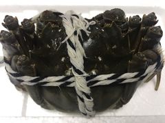 -七的湖·晚芳亭·阳澄湖农家菜·大闸蟹(莲花岛店)