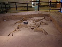 -洛阳周王城天子驾六博物馆