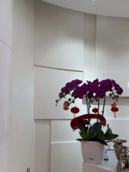 -JUVA欧华医美连锁