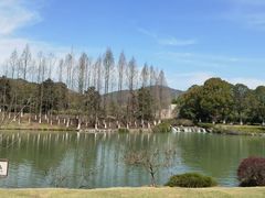 -南京珍珠泉风景区