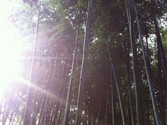 -汇龙潭