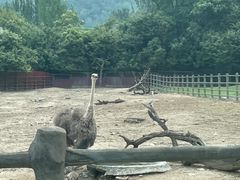 -西安秦岭野生动物园