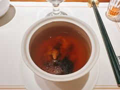 -觀芷隐轩